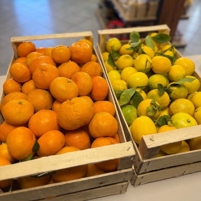 🍊🍋 NESTRIEKANÉ MANDARÍNKY A CITRÓNY PRIAMO OD PESTOVATEĽA🍋🍊 Našu ponuku obohacujeme o výnimočné „exotické“ ovocie –...